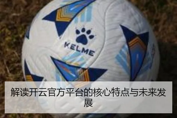 解读开云官方平台的核心特点与未来发展